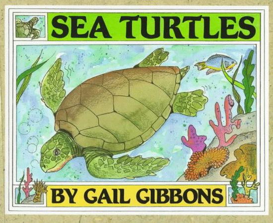 Cover for Gail Gibbons · Sea Turtles (Paperback Book) [English Language edition] (1995)