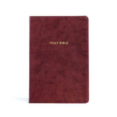 Cover for Holman Bible Holman Bible Staff · KJV Rainbow Study Bible, Burgundy LeatherTouch (Book) (2023)