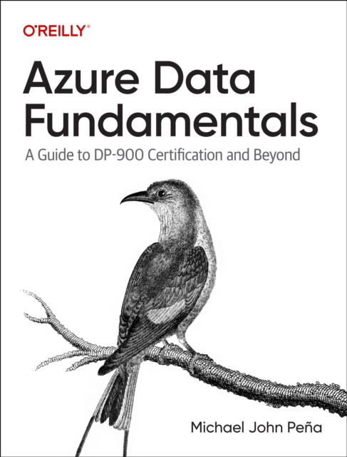 Azure Data Fundamentals: A Guide to DP-900 Certification and Beyond - Michael Pena - Books - O'Reilly Media - 9781098164737 - January 31, 2026