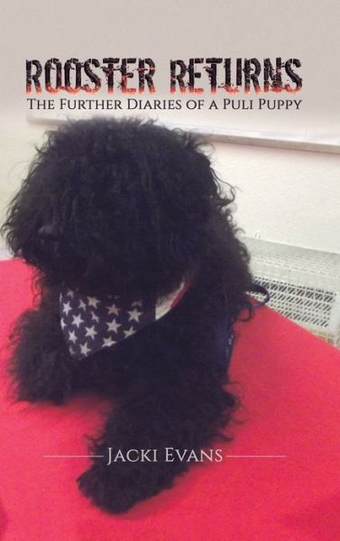 Cover for Jacki Evans · Rooster Returns: The Further Diaries of a Puli Puppy (Paperback Book) (2020)