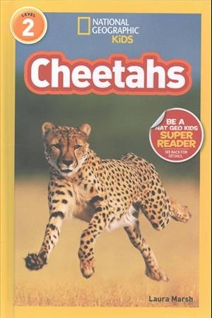 Cover for Laura Marsh · Cheetahs (Hardcover Book) (2017)