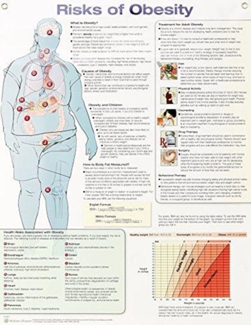 Risks of Obesity Anatomical Chart Laminated - Anatomical Chart Company - Marchandise - Lippincott Williams and Wilkins - 9781496384737 - 9 février 2018