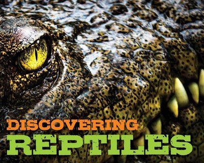 Cover for Cider Mill Press · Discovering Reptiles Handbook (Hardcover bog) (2023)