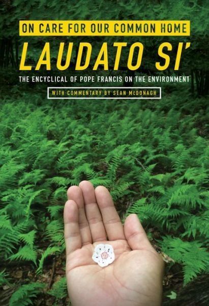 Cover for Pope Francis · On Care for Our Common Home, Laudato Si': The Encyclical of Pope Francis on the Environment with Commentary by Sean McDonagh - Ecology &amp; Justice (Paperback Bog) (2016)