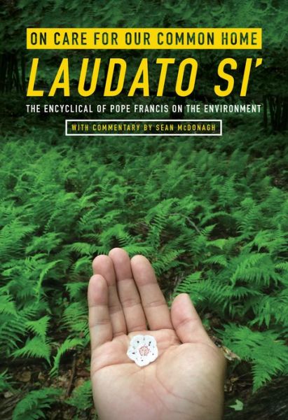 Cover for Pope Francis · On Care for Our Common Home, Laudato Si': The Encyclical of Pope Francis on the Environment with Commentary by Sean McDonagh - Ecology &amp; Justice (Paperback Book) (2016)