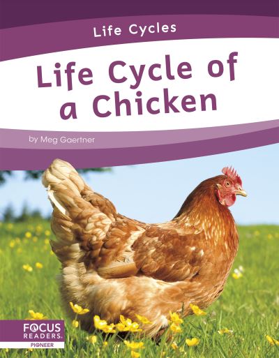 Cover for Meg Gaertner · Life Cycle of a Chicken - Life Cycles (Paperback Book) (2021)