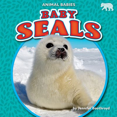 Cover for Jennifer Boothroyd · Baby Seals (Hardcover Book) (2021)