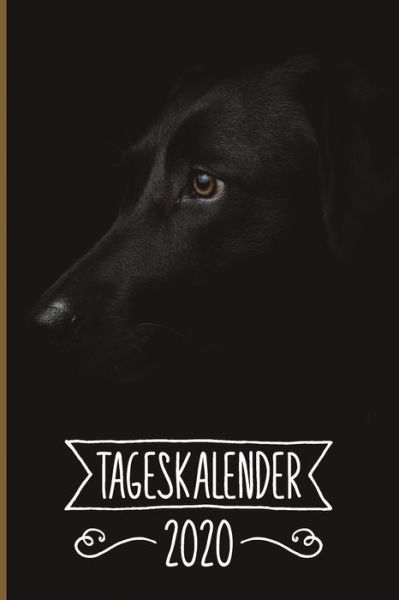 Cover for Labrador Tageskalender 2020 Publishing · Tageskalender 2020 (Paperback Book) (2019)