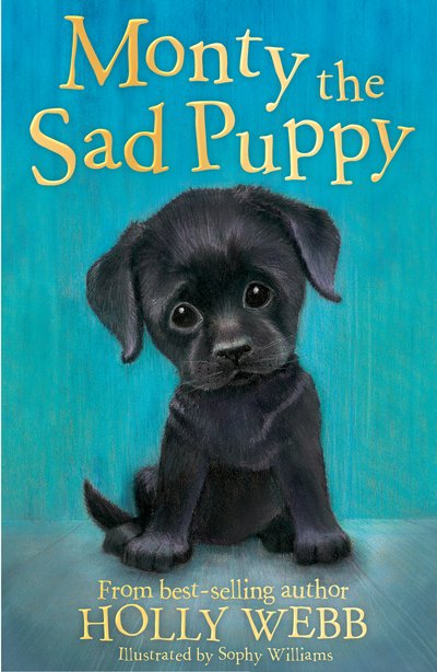 Cover for Holly Webb · Monty the Sad Puppy - Holly Webb Animal Stories (Paperback Book) (2017)