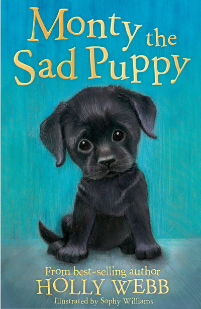Monty the Sad Puppy - Holly Webb Animal Stories - Holly Webb - Książki - Little Tiger Press Group - 9781847157737 - 12 stycznia 2017