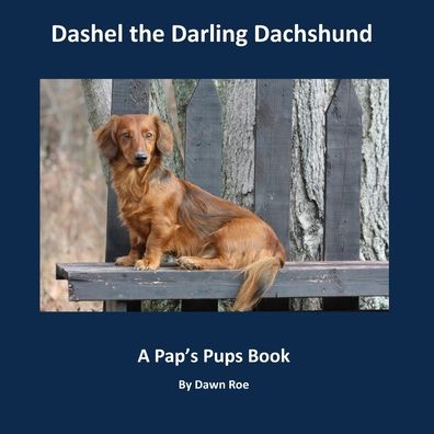 Cover for Dawn Roe · Dashel the Darling Dachshund - A Pap's Pups Book (Paperback Book) (2019)