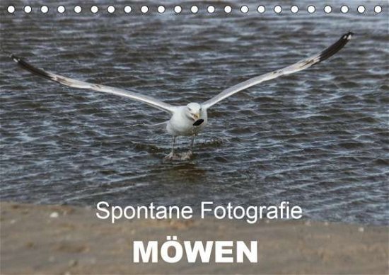 Cover for Mp · Spontane Fotografie - Möwen (Tischka (Book)