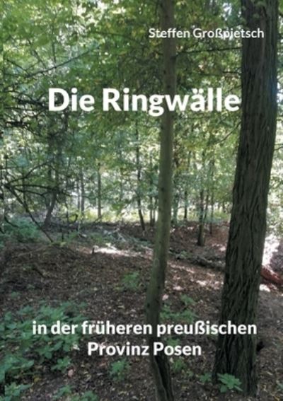Cover for Steffen Grosspietsch · Die Ringwalle (Paperback Book) (2021)
