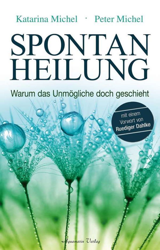 Cover for Michel · Spontanheilung (Buch)