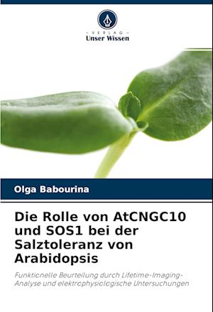 Cover for Olga Babourina · Die Rolle von AtCNGC10 und SOS1 bei der Salztoleranz von Arabidopsis (Paperback Book) (2022)