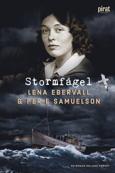 Cover for Ebervall &amp; Samuelson, · Stormfågel (ePUB) (2020)