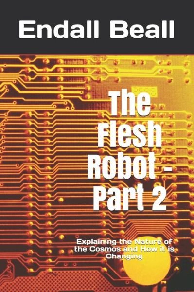 Cover for Endall Beall · The Flesh Robot - Part 2 (Paperback Bog) (2020)