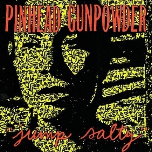 Cover for Pinhead Gunpowder · Carry The Banner (LP) (2021)