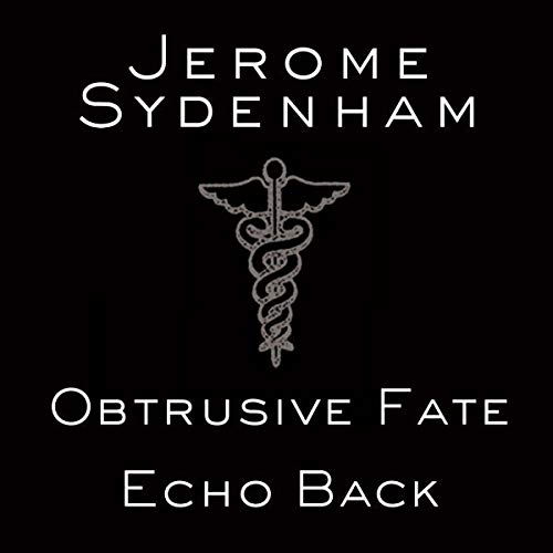 Cover for Jerome Sydenham · Echo Back (LP) (2019)