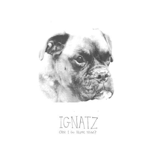 Cover for Ignatz · Can I Go Home Now (CD) (2013)