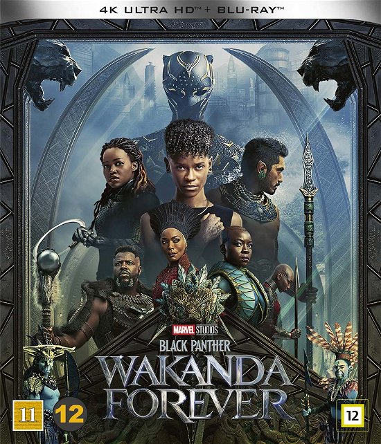Cover for Marvel · Black Panther: Wakanda Forever (4K UHD + Blu-ray) (2023)