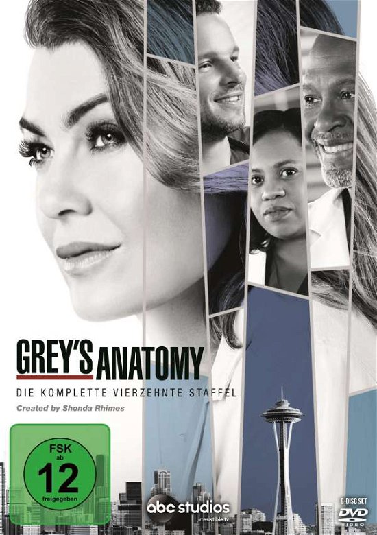 Cover for Greys Anatomy - Staffel 14 (DVD) (2018)