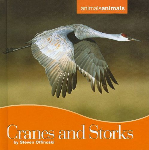 Cover for Steven Otfinoski · Cranes and Storks (Animals Animals) (Inbunden Bok) (2010)