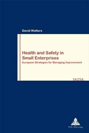 Cover for David Walters · Health and Safety in Small Enterprises (Paperback Book) (2001)