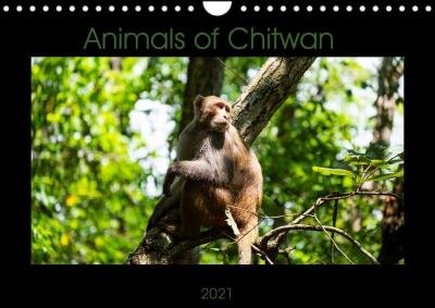 Cover for Fink · Animals of Chitwan (Wall Calendar (Book)