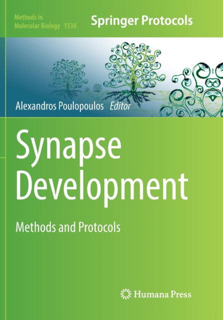 Synapse Development: Methods and Protocols - Methods in Molecular Biology - - Livros - Humana Press Inc. - 9781493982738 - 6 de julho de 2018