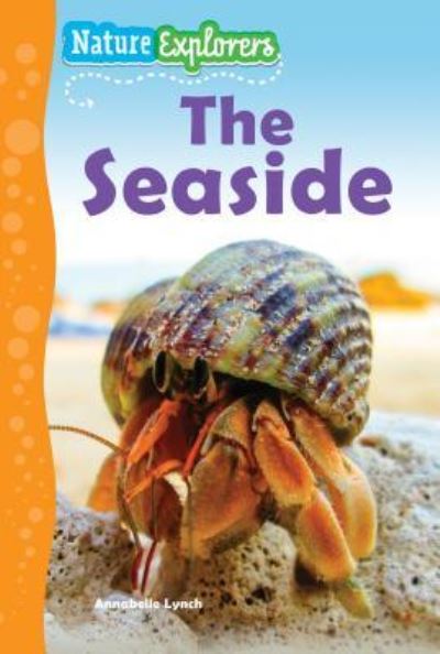 Cover for Annabelle Lynch · The Seaside (Paperback Book) (2015)