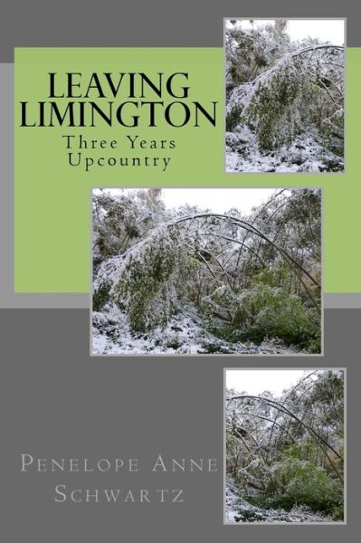 Cover for Penelope Anne Schwartz · Leaving Limington (Pocketbok) (2016)