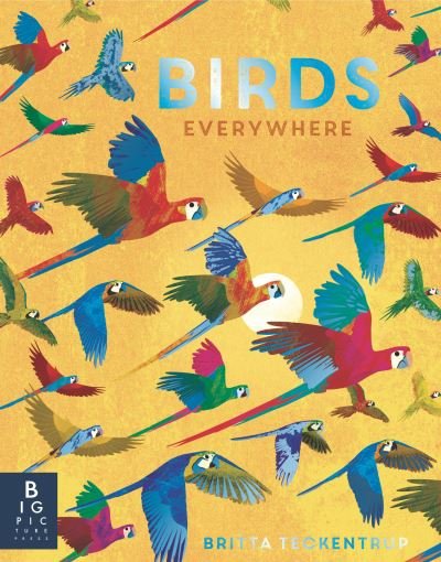 Birds Everywhere - Camilla De la Bedoyere - Books - Candlewick Press - 9781536229738 - March 7, 2023