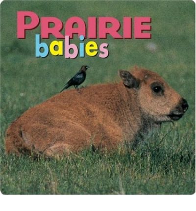 Cover for Creative Publishing International · Prairie Babies (Board book) (2003)