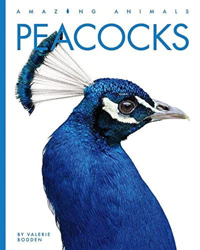 Cover for Valerie Bodden · Peacocks (Book) (2023)