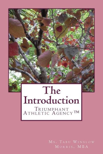 Cover for Tabu Winslow Morris Mba · The Introduction (Pocketbok) (2018)