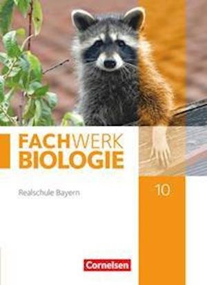 Cover for Udo Hampl · Fachwerk Biologie 10. Jahrgangsstufe - Realschule Bayern - Schülerbuch (Hardcover Book) (2022)
