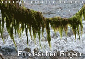 Cover for Zinn · Fundsachen Rügen (Tischkalender 20 (Book)