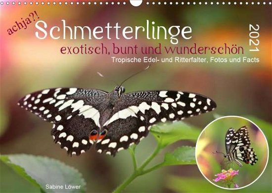 Achja?! Schmetterlinge, Exotisch, - Löwer - Kirjat -  - 9783672349738 - 