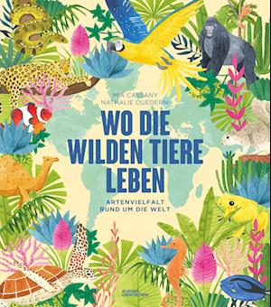 Wo die wilden Tiere leben: Artenvielfalt rund um die Welt - Mia Cassany - Books - Die Gestalten Verlag - 9783967047738 - March 28, 2024