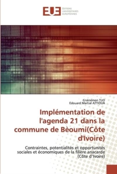 Cover for Tuo · Implémentation de l'agenda 21 dans (Buch) (2020)