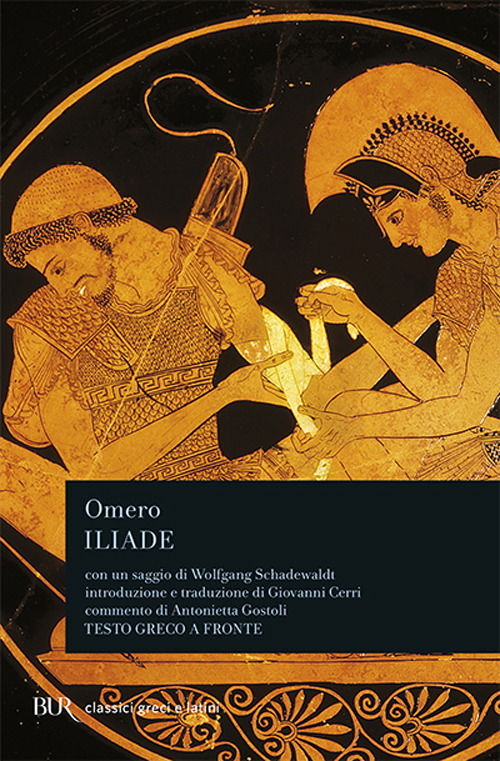 Cover for Omero · L' Iliade (Book)