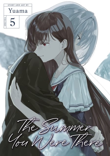 Cover for Yuama · The Summer You Were There Vol. 5 - The Summer You Were There (Paperback Bog) (2024)