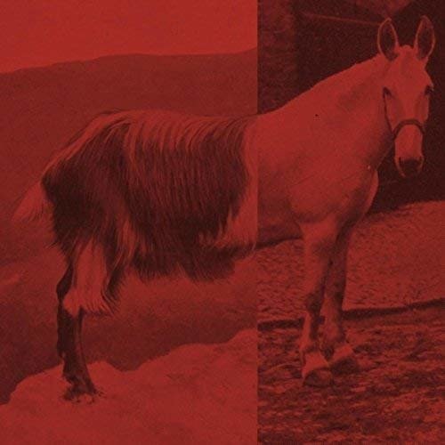 Cover for Priceduifkes · Goathorse (LP) (2017)