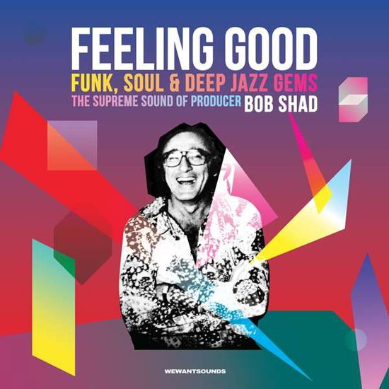 Feeling Good - Nina Simone - Música - WEWANTSOUND - 3700604713739 - 22 de marzo de 2024