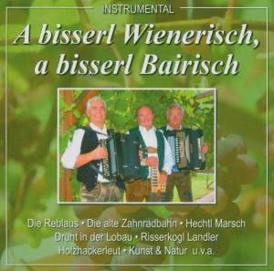 A Bisserl Wienerisch,a Bisserl Bairisch - Duo Halletz-rutz & Wamser-rutz - Música - BOGNE - 4012897116739 - 3 de enero de 2005