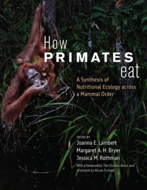 Cover for How Primates Eat: A Synthesis of Nutritional Ecology across a Mammal Order (Hardcover Book) (2024)