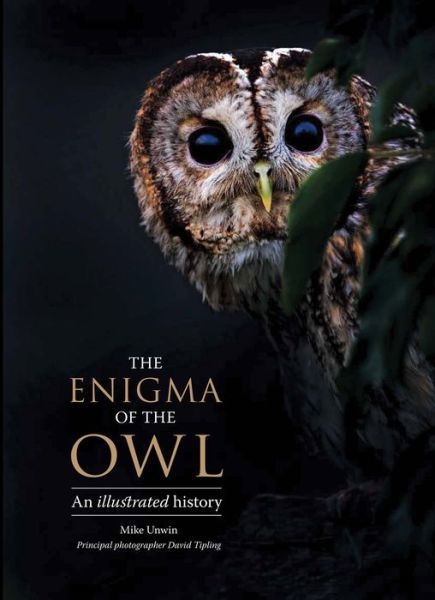 Cover for Mike Unwin · The enigma of the owl (Book) (2017)
