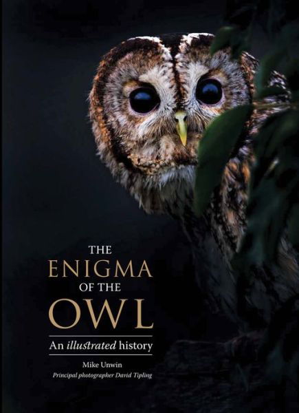 Cover for Mike Unwin · The enigma of the owl (Bok) (2017)