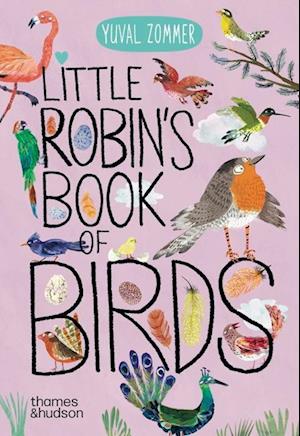 Cover for Yuval Zommer · Little Robin's Book of Birds (Kartonbuch) (2025)